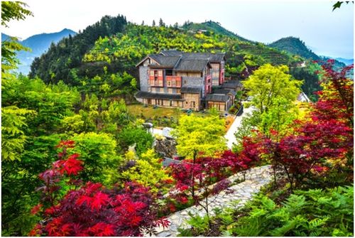 晒出古韵,晒出精品,晒出匠心 巴南借 双晒 助推文旅融合上新台阶