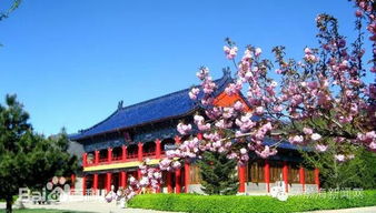 来唐山玩吧 10条以世园会为核心的旅游线路出炉