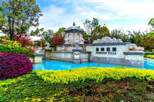 魔都有个楼盘,擅长给人治病