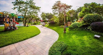 许昌长葛碧桂园凤凰城毛坯房3室 2厅 2卫