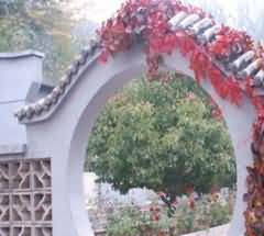 有利于推动社会主义新农村建设