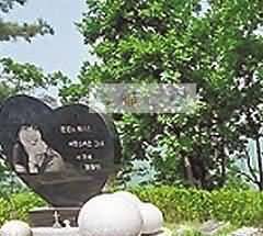 清代丧服服制变革