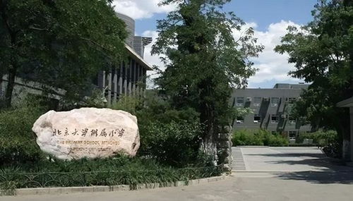 2024年买房必胜秘籍盯紧海淀北销冠,盯紧北大好洋房就稳了