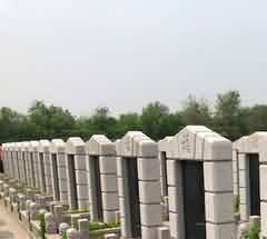 &ldquo;叛逆者&rdquo;的探索与新生