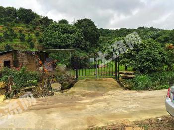 广东农家庭院价格信息 交易平台 广东土流网