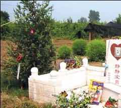 日本殡葬法律的主要特点