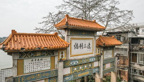 平南 白马双英 背后的故事,你了解多少