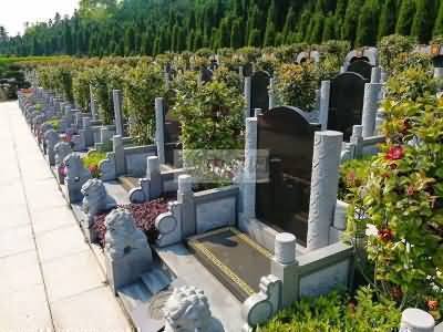 丧礼中的其它以礼入法现象