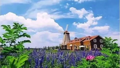 健康迎双节 防疫不松劲 关于冷链食品的6个权威问答