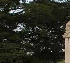 &ldquo;不立文字&rdquo;不是&ldquo;不要文字&rdquo;、&ldquo;摒弃文字&rdquo;