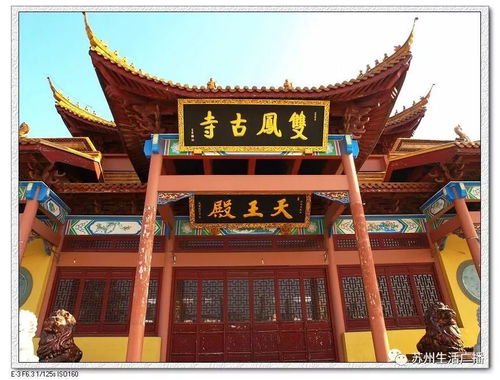 965风物苏州 双凤寺