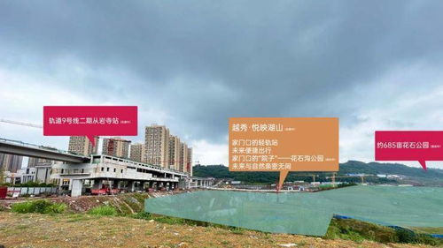 越秀 悦映湖山 中央公园 双轨道 湖山环幕洋房 时代地标