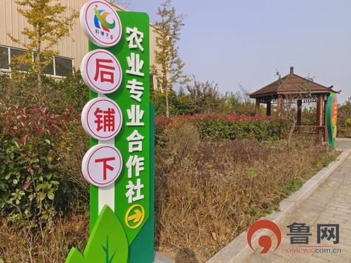 党建引领乡村振兴 即墨区后铺下农业专业合作社农副产品展风采