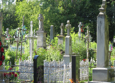 从高兴路到太仓双凤纪念园的交通指南