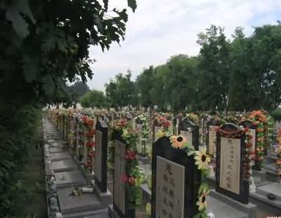 经营性墓地使用权的继受主体探析——以上海双凤纪念园为例